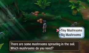 Wow, what a wild turn my adventure has taken...